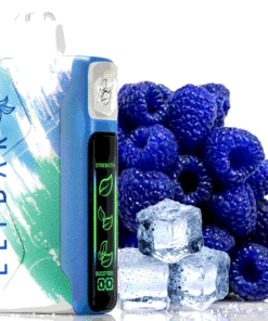 Elf Bar Nic King 30000 Blue Razz Ice
