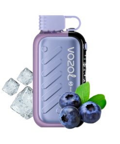 Vozol Gear Ice & Sweet 50000 Blueberry Ice