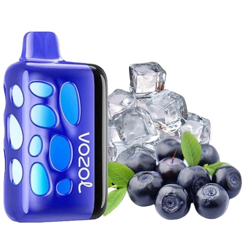 Vozol RAVE 40000 Blueberry Ice